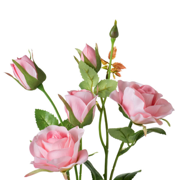 פרחים – צרור ורדים ורוד במראה טבעי (על גבעול יחיד)